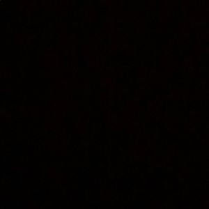 Meet your Posher, Gary